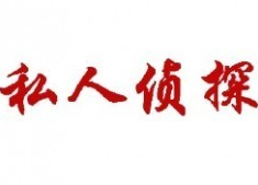 宁波商务调查取证：离婚后孩子起诉女方要抚养费去哪里起诉